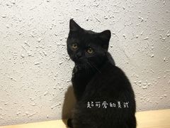 -士多咖啡·Stop Coffee