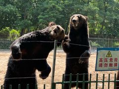 -秦皇岛野生动物园