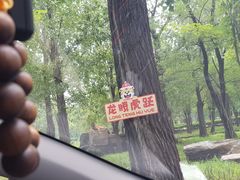 -秦皇岛野生动物园