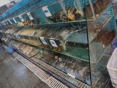 -范饭椰林川湘味海鲜·椰子鸡(三亚湾椰梦长廊店)