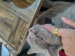-小时光咖啡馆(北锣鼓巷店)