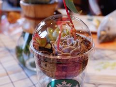 -星巴克臻选(济南恒隆店)