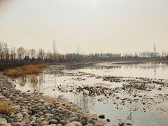 -大兴滨河森林公园