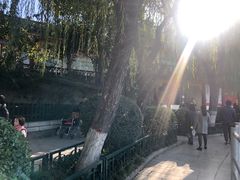 -莲湖公园