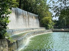 -成都动物园