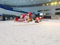-哈尔滨热雪奇迹