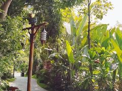 -碧桂园润杨溪谷温泉酒店