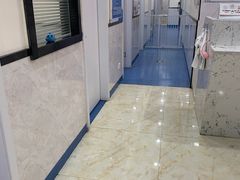 -心语宠物医院·急重症转诊中心·瑞辰华诺(南青路店)