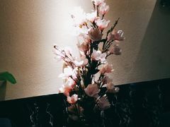 -富侨养生(康乾店)