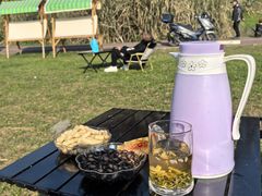 -桤木河湿地公园