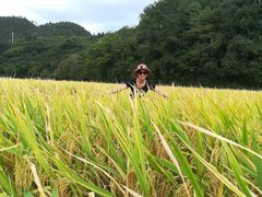 -贵阳市花溪国家城市湿地公园