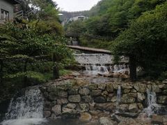 -自游人·美食一楼·地道徽菜(三十年名店)