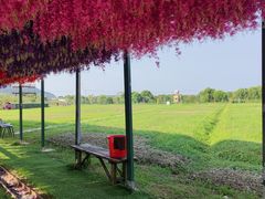 -苏州太湖西山岛开心农场