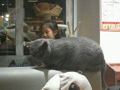 -小时光咖啡馆(开森度假森林店)
