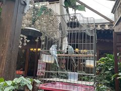 -束河人家(南锣鼓巷店)