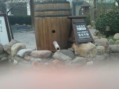 android_upload_pic-国御温泉度假小镇