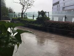 -MR鹅外
