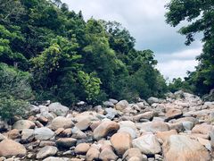 -海南热带雨林国家公园吊罗山景区
