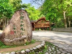 -大鄣山卧龙谷景区