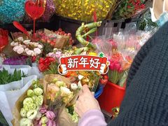 -溪岸路花鸟市场