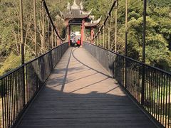 -凤栖山