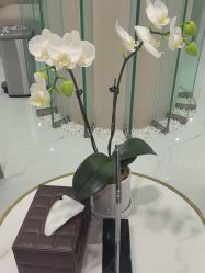 -Yestar艺星整形美容医院