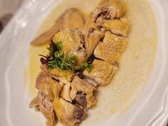 东江盐焗鸡-皇朝会.经典传统粤菜(外滩店)