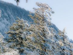 -峨眉山风景名胜区