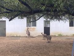 -秦皇岛野生动物园