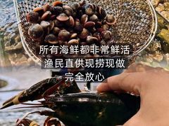 -小海豚•老字号海鲜餐厅(天涯店)