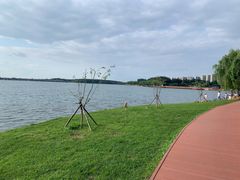 -丁香湖公园