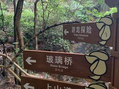 -牛鱼嘴原始生态风景区