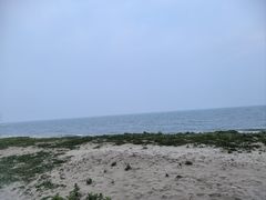 -秦皇岛阿尔卡迪亚滨海度假酒店