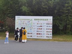 -黄海国家森林公园