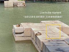 -颐和园