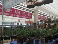 -李村大集