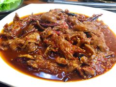 火辣鸡爪-红辣椒八爪鱼特色韩国料理