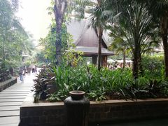 -三亚湾红树林度假世界(木棉酒店)