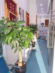 -蕾特恩专业祛痘国际连锁