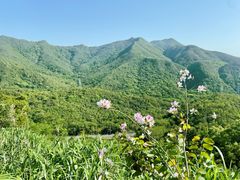 -梧桐山风景名胜区