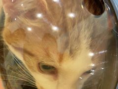 -佳雯宠物医院(四明中路分院)