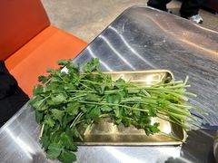香菜-大千金齐齐哈尔烤肉(清湖店)