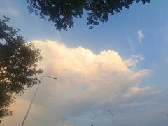 -李连贵熏肉大饼(金隅嘉品Mall店)