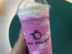 -飞行喵MR PILOT|猫舍·猫咖(静安大融城店)