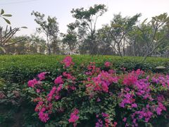 -小南山公园