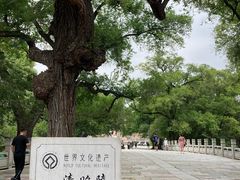 -北陵公园