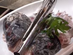 -老船舫·现做活鲜鱼馆(东郊记忆店)