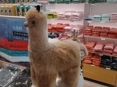 -国药中服免税(北京坊店)