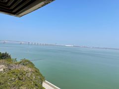 -大湾区中央湿地公园