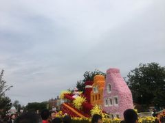 -荷兰花海